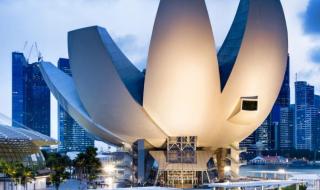 卡塔尔队世界排名第几